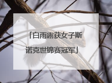 白雨露获女子斯诺克世锦赛冠军