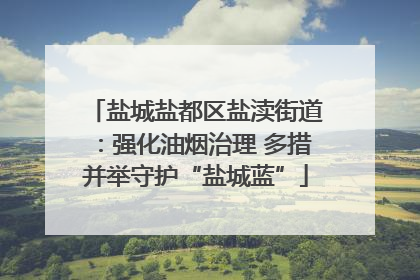 盐城盐都区盐渎街道：强化油烟治理 多措并举守护“盐城蓝”