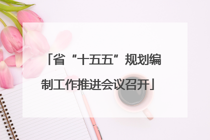 省“十五五”规划编制工作推进会议召开