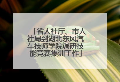 省人社厅、市人社局到湖北东风汽车技师学院调研技能竞赛集训工作