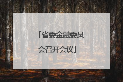 省委金融委员会召开会议