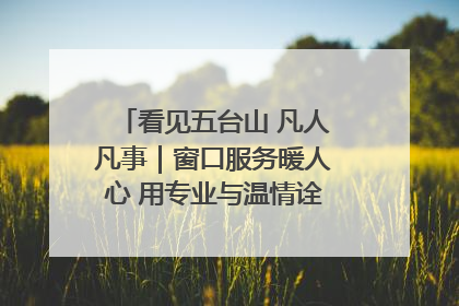看见五台山 凡人凡事｜窗口服务暖人心 用专业与温情诠释责任担当