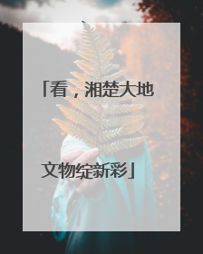 看，湘楚大地文物绽新彩