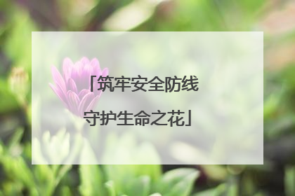 筑牢安全防线 守护生命之花