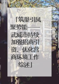 筑巢引凤聚势能——武威市持续加强招商引资、优化营商环境工作综述