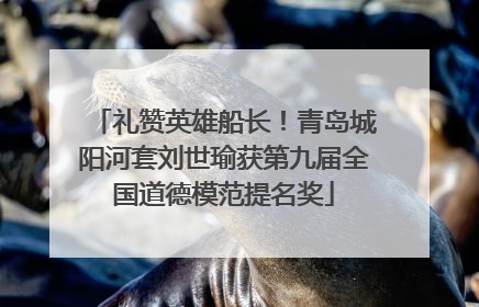 礼赞英雄船长！青岛城阳河套刘世瑜获第九届全国道德模范提名奖