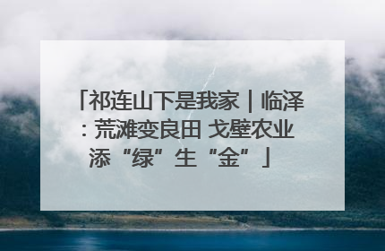 祁连山下是我家｜临泽：荒滩变良田 戈壁农业添“绿”生“金”
