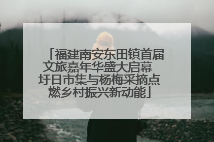 福建南安东田镇首届文旅嘉年华盛大启幕 圩日市集与杨梅采摘点燃乡村振兴新动能