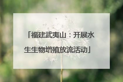 福建武夷山：开展水生生物增殖放流活动