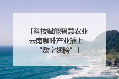 科技赋能智慧农业 云南咖啡产业插上“数字翅膀”