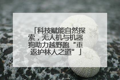 科技赋能自然探索，无人机与机器狗助力越野跑“重返护林人之道”