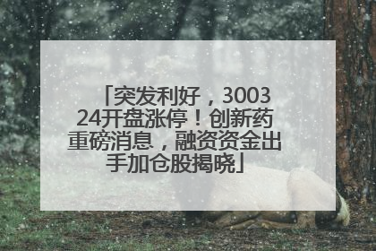 突发利好，300324开盘涨停！创新药重磅消息，融资资金出手加仓股揭晓
