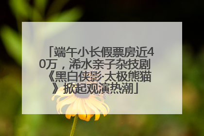 端午小长假票房近40万，浠水亲子杂技剧《黑白侠影·太极熊猫》掀起观演热潮