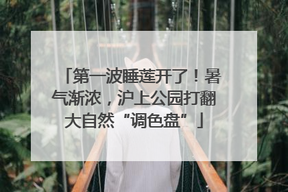 第一波睡莲开了！暑气渐浓，沪上公园打翻大自然“调色盘”
