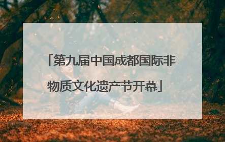 第九届中国成都国际非物质文化遗产节开幕