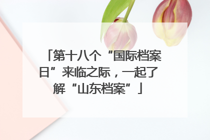 第十八个“国际档案日”来临之际，一起了解“山东档案”