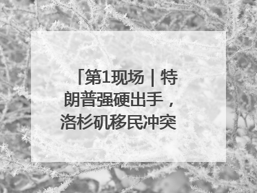 第1现场｜特朗普强硬出手，洛杉矶移民冲突如何破局