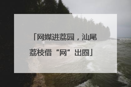 网媒进荔园，汕尾荔枝借“网”出圈