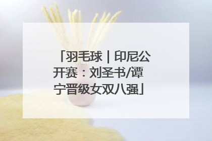 羽毛球｜印尼公开赛：刘圣书/谭宁晋级女双八强
