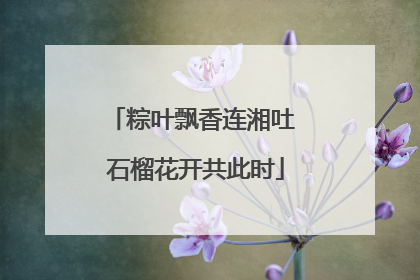 粽叶飘香连湘吐 石榴花开共此时