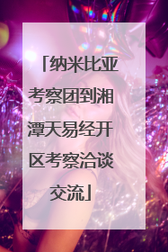 纳米比亚考察团到湘潭天易经开区考察洽谈交流