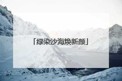 绿染沙海焕新颜