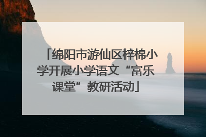 绵阳市游仙区梓棉小学开展小学语文“富乐课堂”教研活动