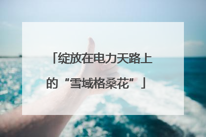 绽放在电力天路上的“雪域格桑花”