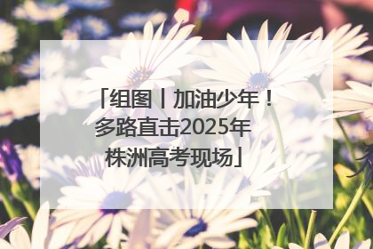 组图丨加油少年！多路直击2025年株洲高考现场