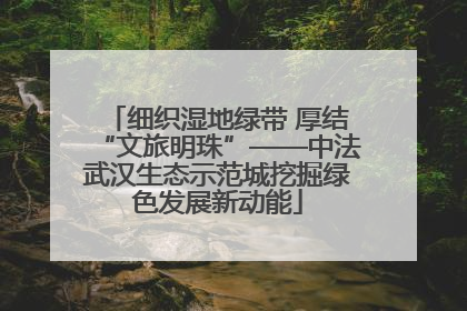 细织湿地绿带 厚结“文旅明珠”——中法武汉生态示范城挖掘绿色发展新动能