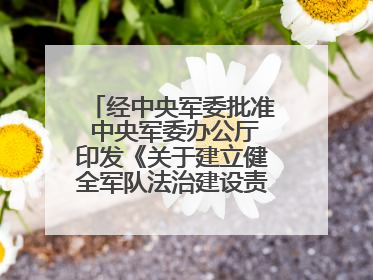 经中央军委批准 中央军委办公厅印发《关于建立健全军队法治建设责任体系的通知》