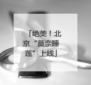 绝美！北京“莫奈睡莲”上线