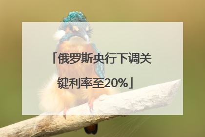 俄罗斯央行下调关键利率至20%