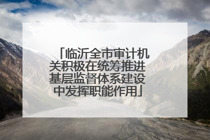 临沂全市审计机关积极在统筹推进基层监督体系建设中发挥职能作用