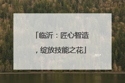 临沂：匠心智造，绽放技能之花