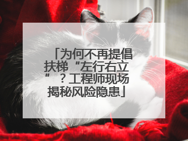 为何不再提倡扶梯“左行右立”？工程师现场揭秘风险隐患