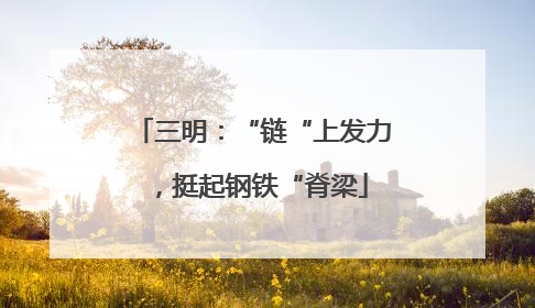 三明：“链“上发力，挺起钢铁“脊梁
