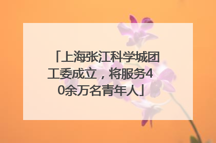 上海张江科学城团工委成立，将服务40余万名青年人