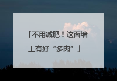 不用减肥！这面墙上有好“多肉”