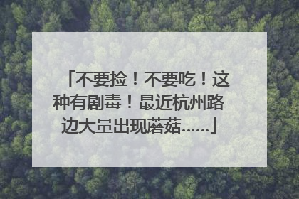 不要捡！不要吃！这种有剧毒！最近杭州路边大量出现蘑菇……