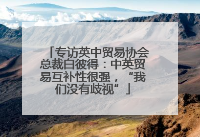 专访英中贸易协会总裁白彼得：中英贸易互补性很强，“我们没有歧视”