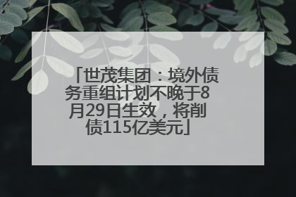 世茂集团：境外债务重组计划不晚于8月29日生效，将削债115亿美元