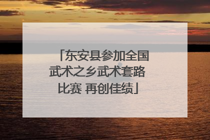 东安县参加全国武术之乡武术套路比赛 再创佳绩