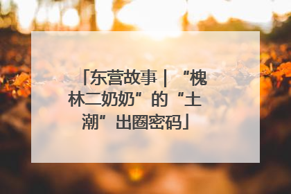 东营故事｜“槐林二奶奶”的“土潮”出圈密码