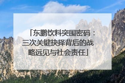 东鹏饮料突围密码：三次关键抉择背后的战略远见与社会责任