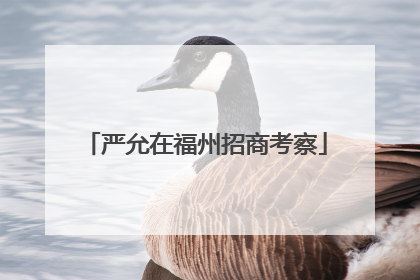 严允在福州招商考察