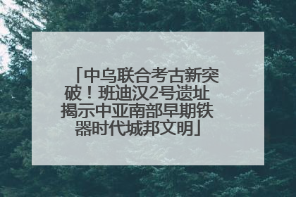 中乌联合考古新突破！班迪汉2号遗址揭示中亚南部早期铁器时代城邦文明
