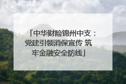 中华财险锦州中支：党建引领消保宣传 筑牢金融安全防线