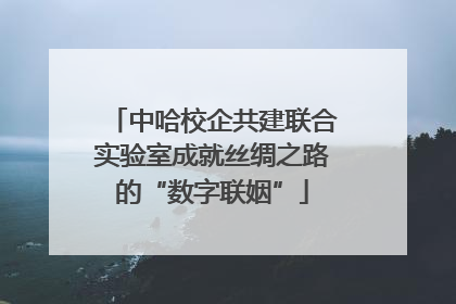 中哈校企共建联合实验室成就丝绸之路的“数字联姻”