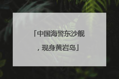 中国海警东沙舰，现身黄岩岛